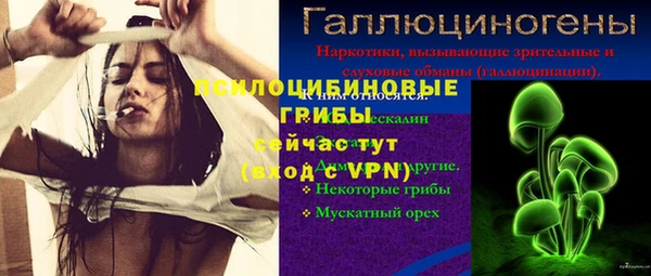винт Зеленокумск