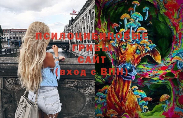 не бодяженный Зеленодольск