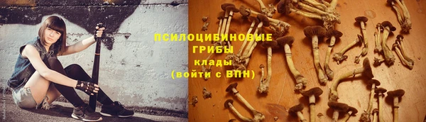 каннабис Зерноград